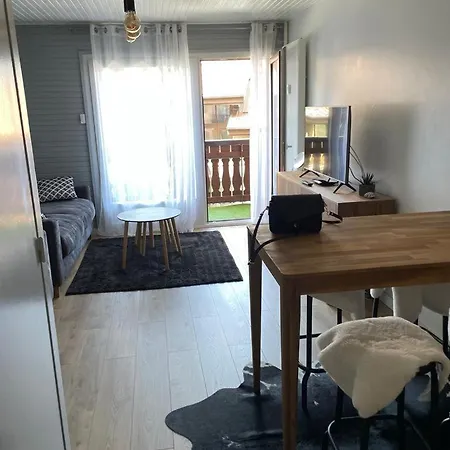 Cosy Studio Apartment
